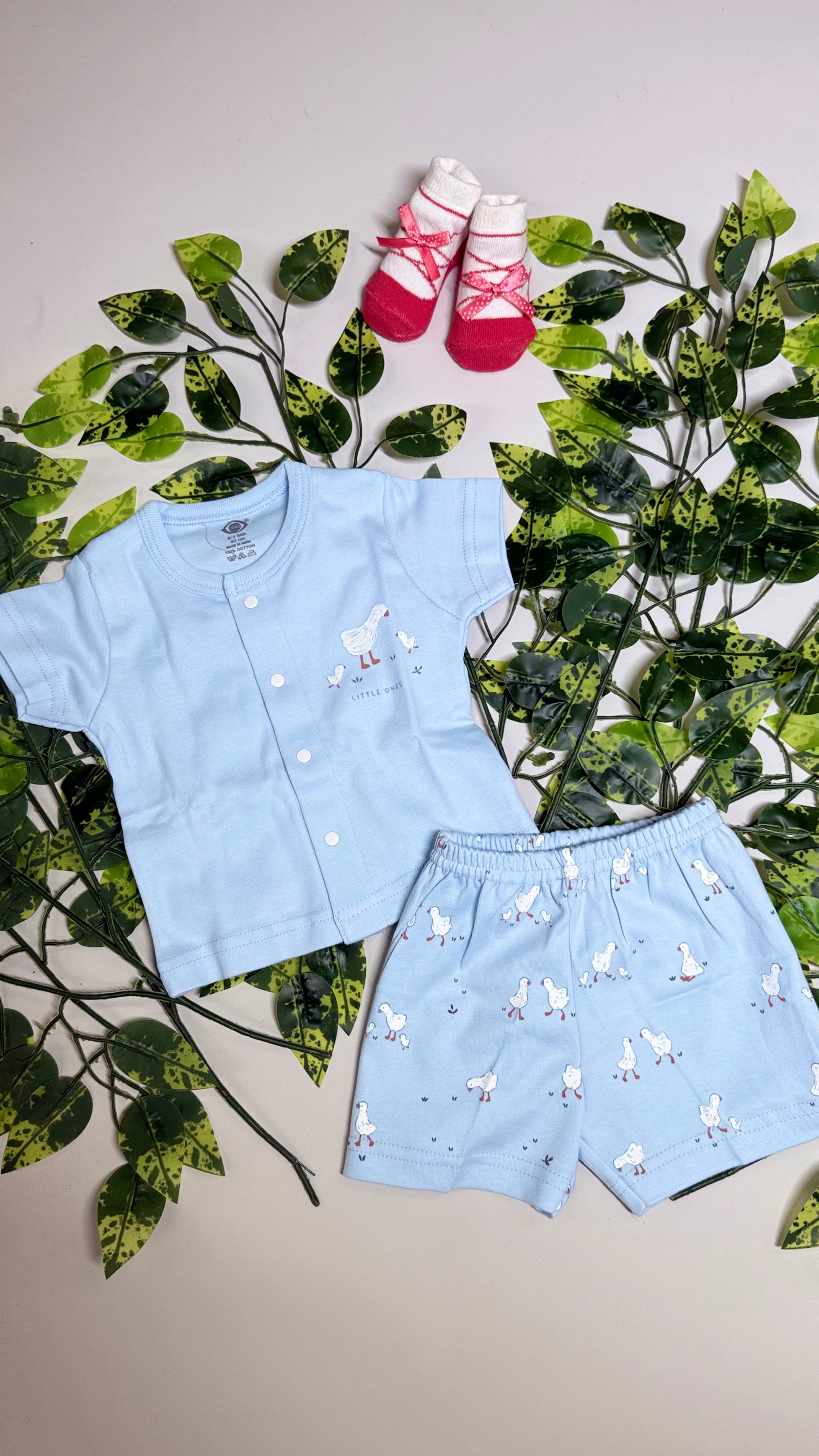 Cute Shorts Set