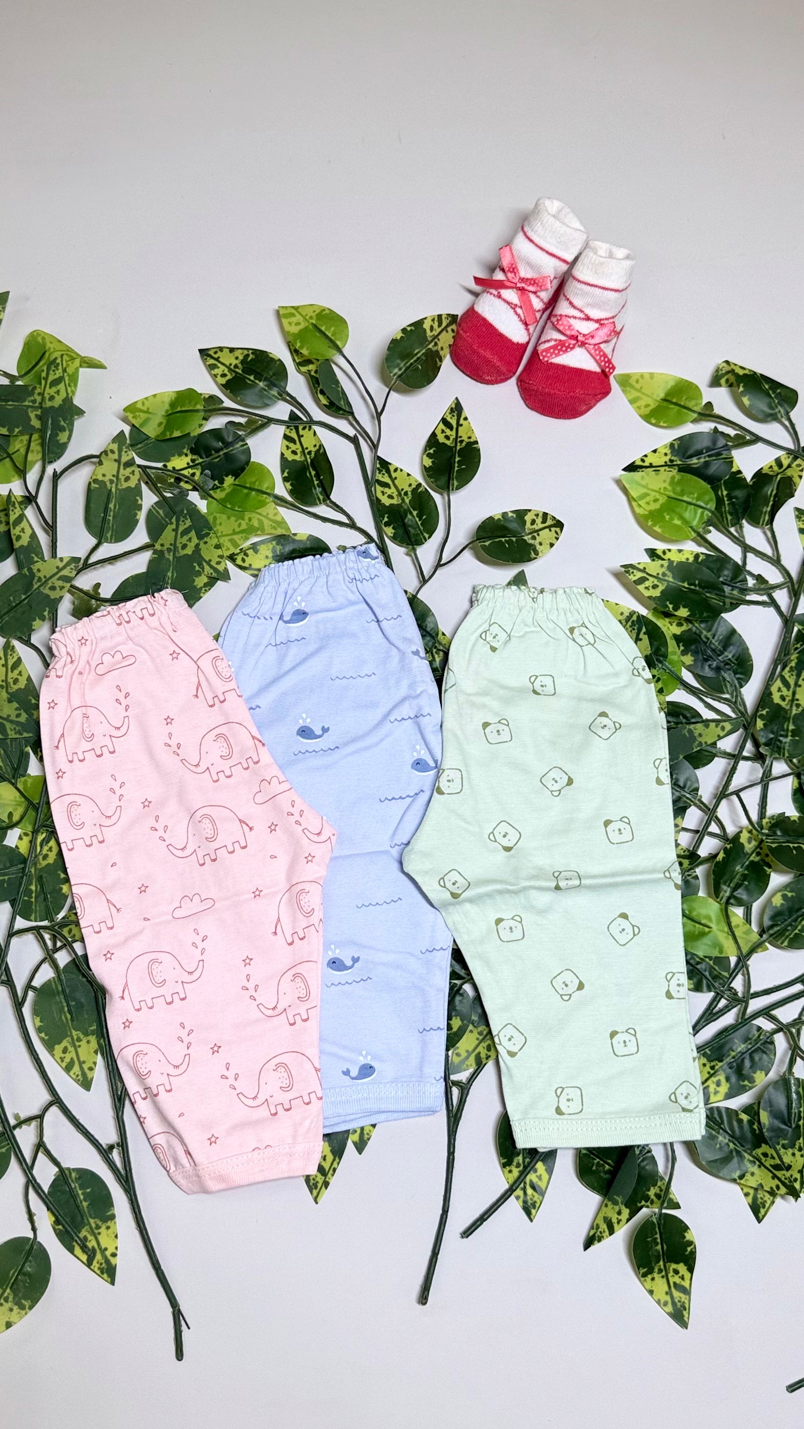 Printed Pants