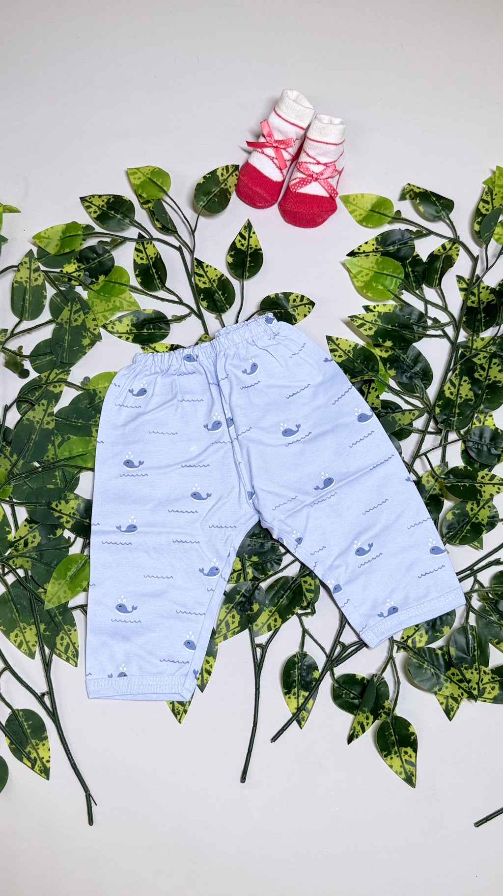 Printed Pants