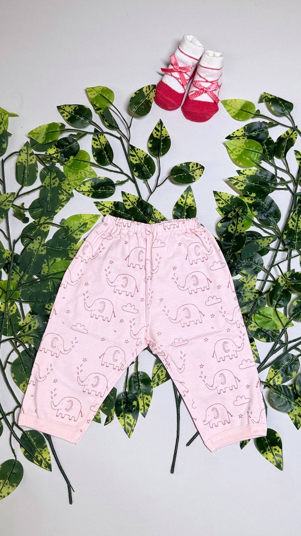 Printed Pants