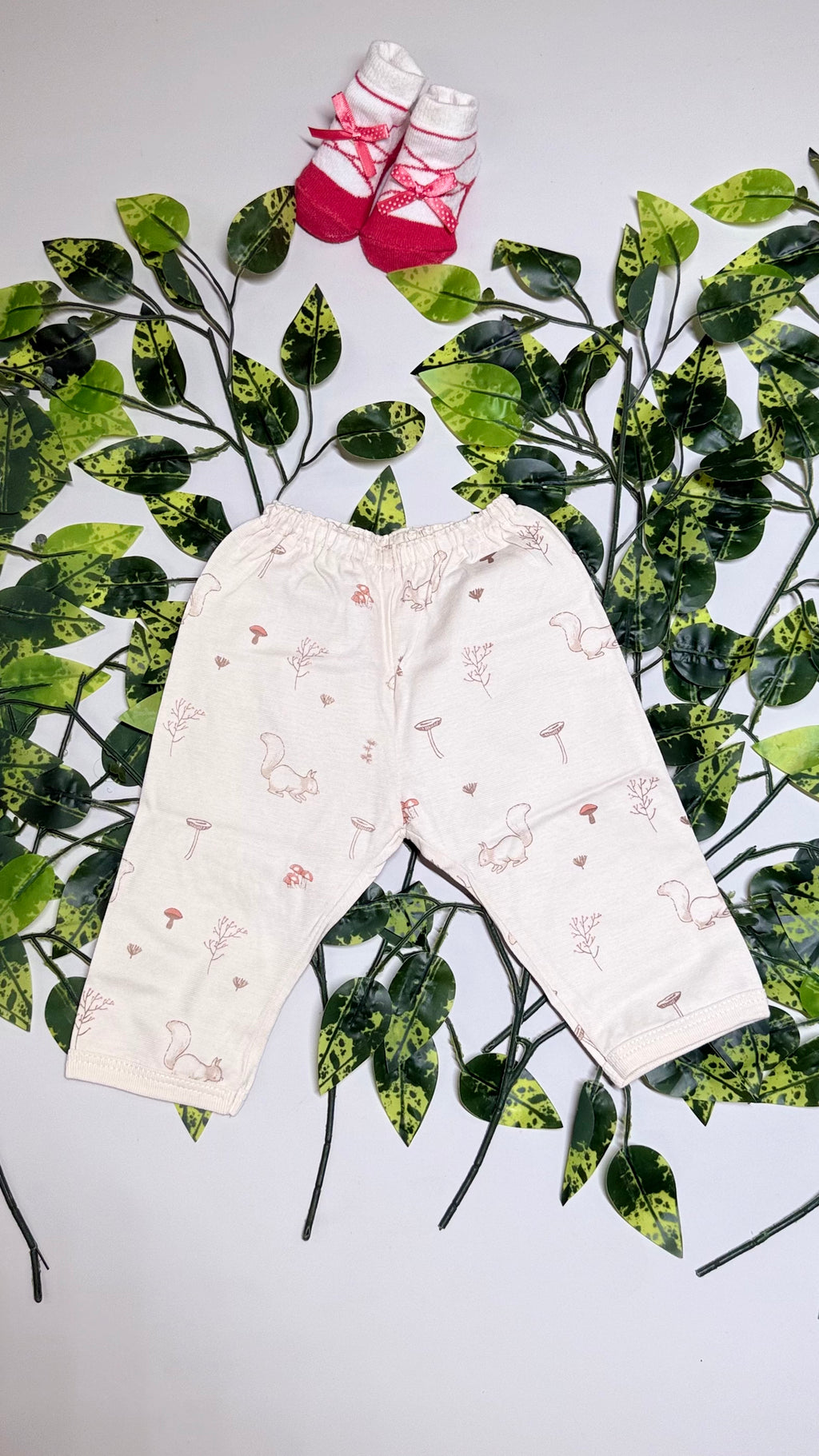 Printed Pants
